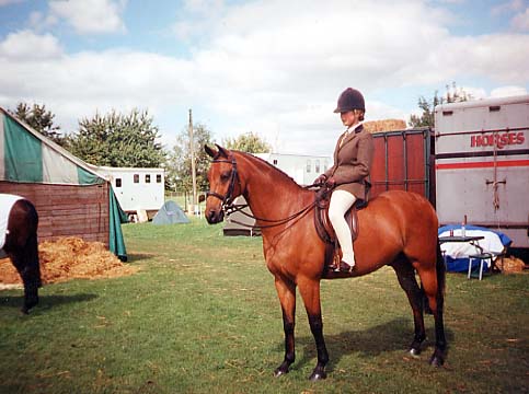 Trellech Countryman