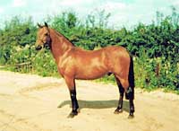 Mat at Pickmere 16 years old